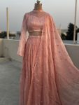 Peach Organza feathery soft Classy Lehenga